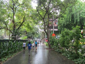 Street view after rain