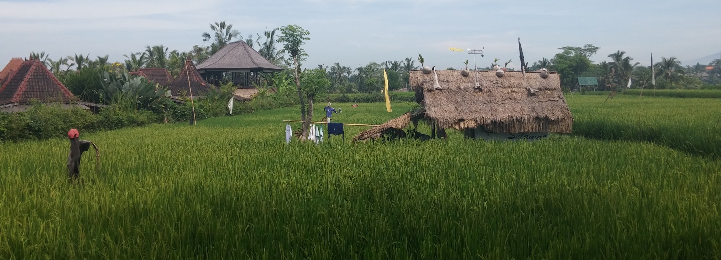 Rural Ubud Bali Indonesia